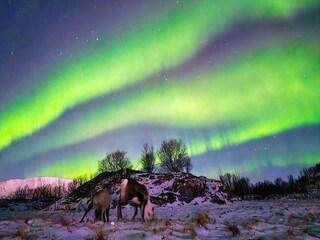 Maison de vacances Rebbenes  46