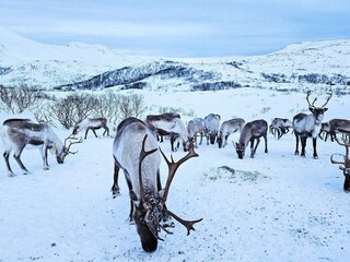 Casa de vacaciones Rebbenes  42