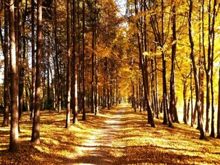 Casa de vacaciones Wierzbanowa Entorno 22