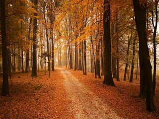 Casa per le vacanze Wierzbanowa Ambiente 18