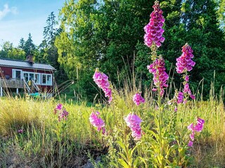Casa de vacaciones Vänersborg Grabación al aire libre 2