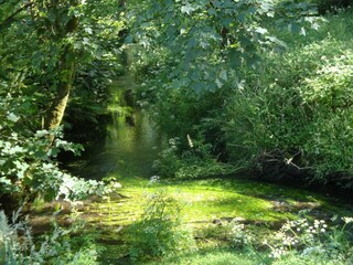 Holiday cottage Tavistock Environment 24