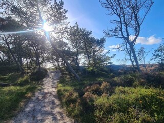 Casa de vacaciones Toftum  8