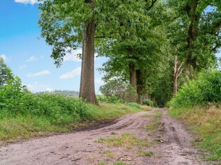 Vakantiehuis Hoeven Omgeving 30