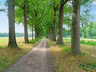 Vakantiehuis Hoeven Omgeving 33