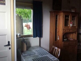 Vakantiehuis Hoeven Kenmerken 23