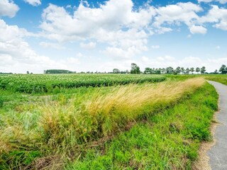 Chalet Oostmahorn Environnement 32