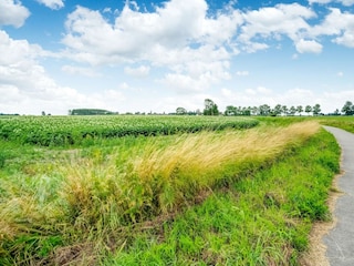 Chalet Oostmahorn Umgebung 32