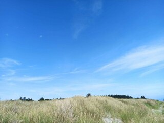 Maison de vacances Hou  37