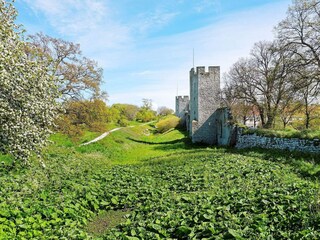 Maison de vacances Katthammarsvik  31
