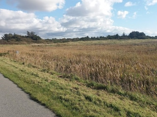 Ferienhaus Søndervig  19