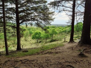 Appartamento Tranum Strand  28