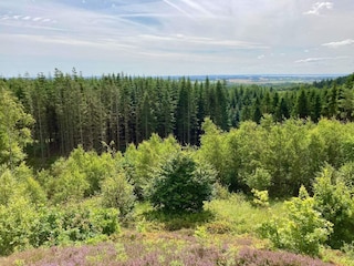 Apartment Tranum Strand  14