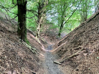 Apartment Tranum Strand  40