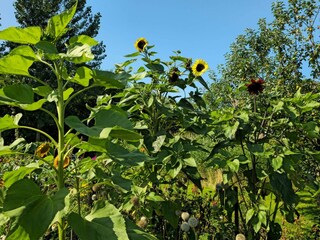 Casa per le vacanze Rodenäs  26