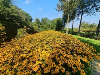 Casa per le vacanze Rodenäs  31