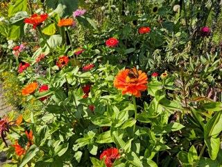 Vakantiehuis Rodenäs  32