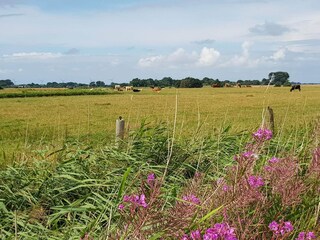 Maison de vacances Rodenäs  14