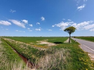 Vakantiehuis Rodenäs  17