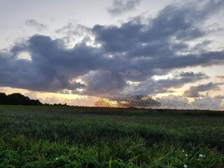 Casa per le vacanze Rodenäs  18