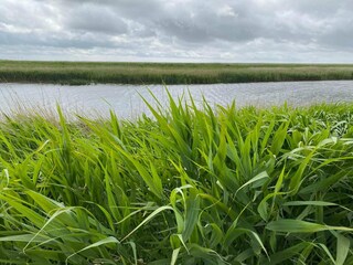 Maison de vacances Rodenäs  22