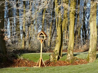 Vakantiehuis Javingue Buitenaudio-opname 8