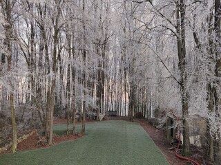 Ferienhaus Javingue Außenaufnahme 10