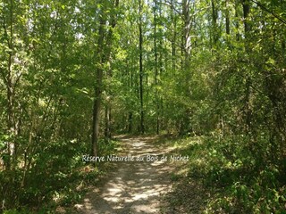 Vakantiehuis Javingue Omgeving 30