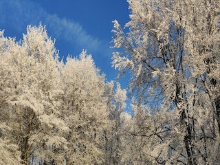 Vakantiehuis Javingue  37