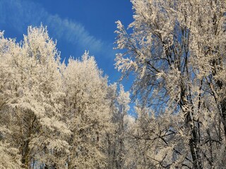 Casa per le vacanze Javingue  37
