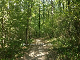 Vakantiehuis Javingue Omgeving 29