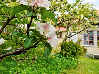 Casa de vacaciones Lysekil Grabación al aire libre 9