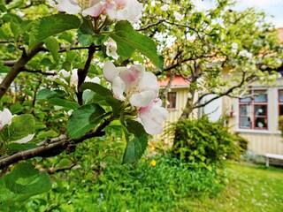 Holiday house Lysekil Outdoor Recording 6