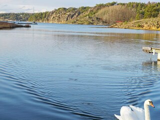 Vakantiehuis Strömstad  27