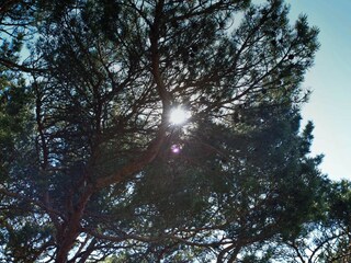 Vakantiehuis Strömstad  17