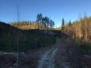 Vakantiehuis Rimforsa  5