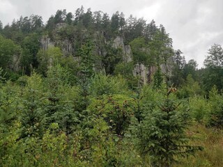 Casa per le vacanze Rimforsa  20