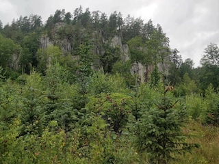 Vakantiehuis Rimforsa  18