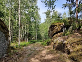 Ferienhaus Rimforsa  12