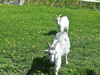 Appartement Tysnes  36