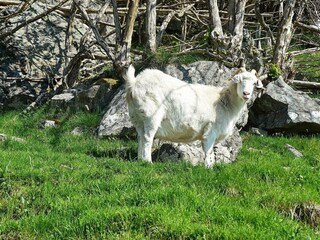 Appartement Tysnes  38