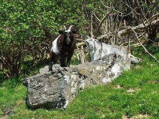 Apartment Tysnes  19