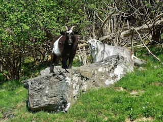 Apartment Tysnes  20