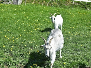 Apartment Tysnes  23