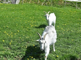 Appartamento Tysnes  19