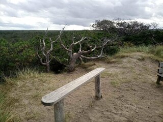 Casa de vacaciones Fjand  5