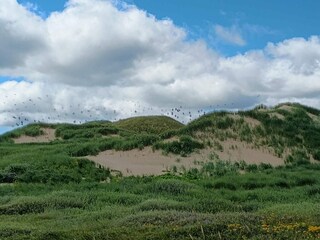 Vakantiehuis Fjand  6