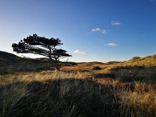 Maison de vacances Fjand  12