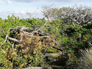 Ferienhaus Fjand  13