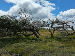 Casa per le vacanze Fjand  31
